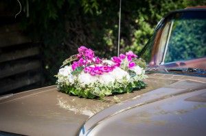 Martina-Stefan_058                  